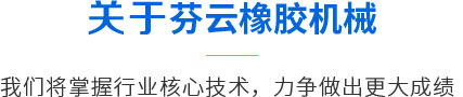 青岛尊龙凯时人生就是搏橡胶机械